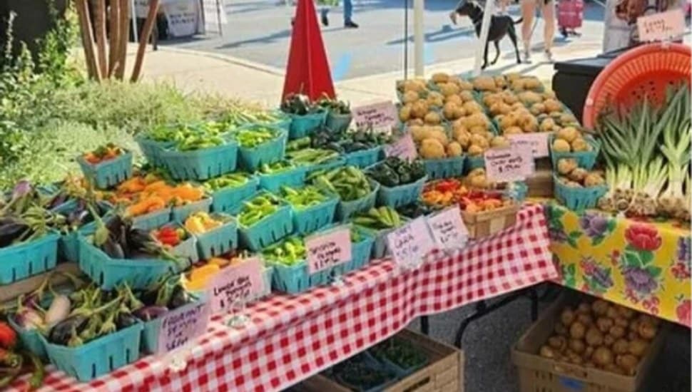 A table filled with fresh vegetables at the Swarthmore Farmers Market.