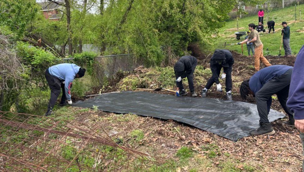 Joseph “Joe Joe” Dukes, left, guides other youths in helping prepare the grounds at the Ruth Bennett Community Farm