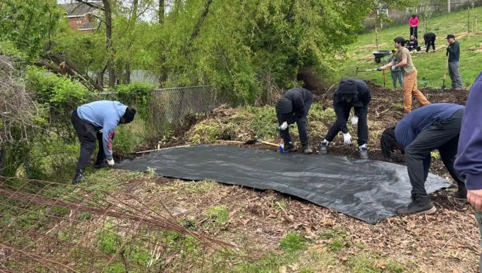 Joseph “Joe Joe” Dukes, left, guides other youths in helping prepare the grounds at the Ruth Bennett Community Farm