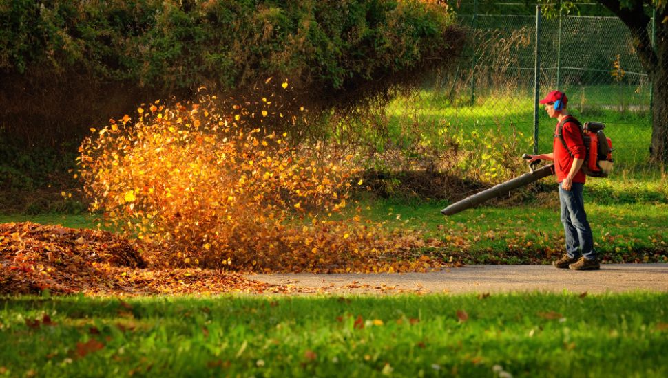A man uses a gas-powered leaf blower to blow away a pile of leaves.