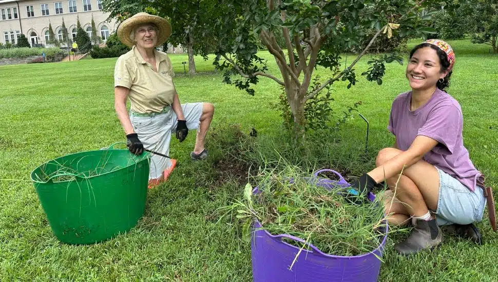 Volunteers look after the gardens at the Scott Arboretum.