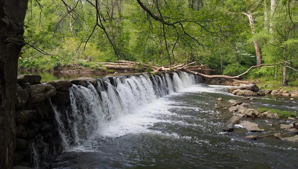 The falls at Ridley Creek State Park.