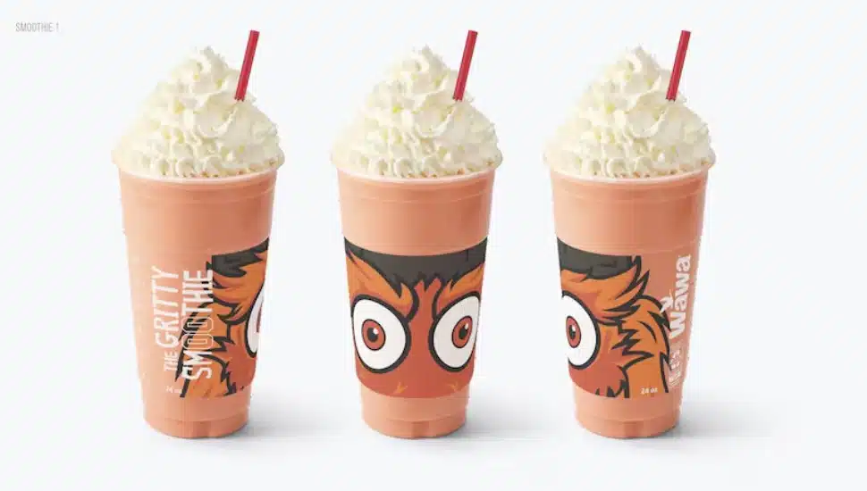 Gritty Smoothie without chocolate chips from Wawa.