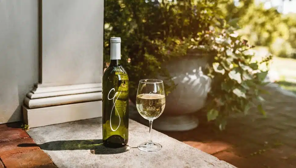 Best Wineries Near Philadelphia: Four Delaware County Spots Worth Visiting This Summer