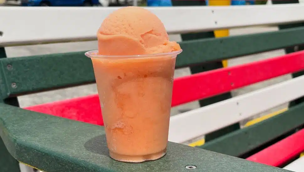 Here Are theย Best Water Ice Spots in Delaware County for Beating the Summer Heatย