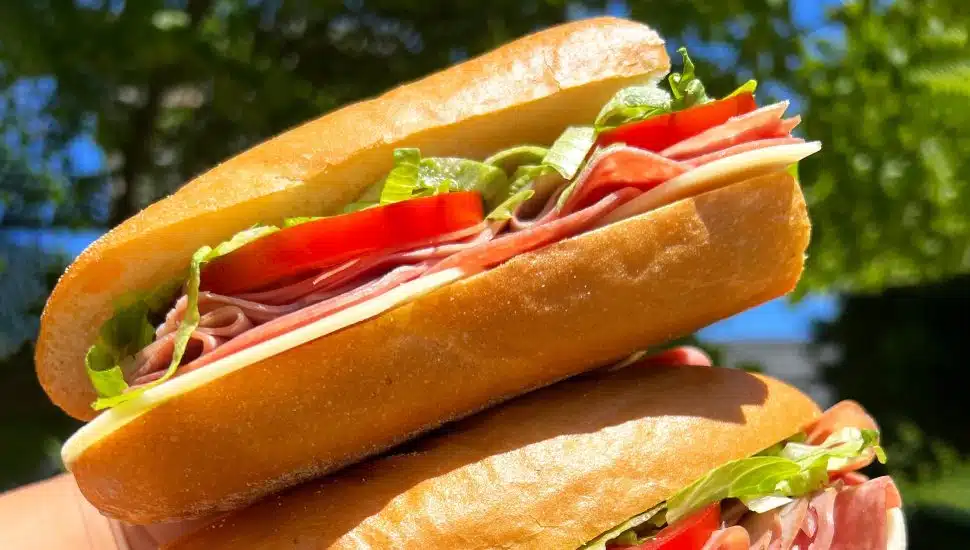 Wawa Becomes Official Hoagie of the Phillies, Bringingย Hoagiefestย to Citizens Bank Parkย