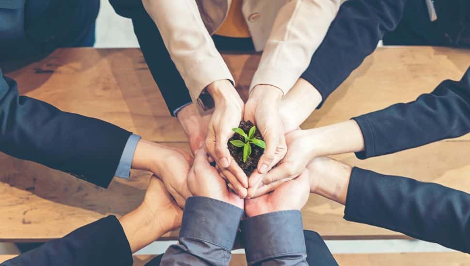 When to Bring in Marketing Consulting vs. Fractional Marketing Leadership