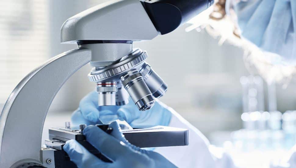Four Delaware County Community College Students Selected for Prestigious Wistar Institute Research Program
